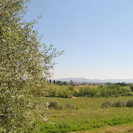 Da Ida Alla Vigna Del Greppo Apartment