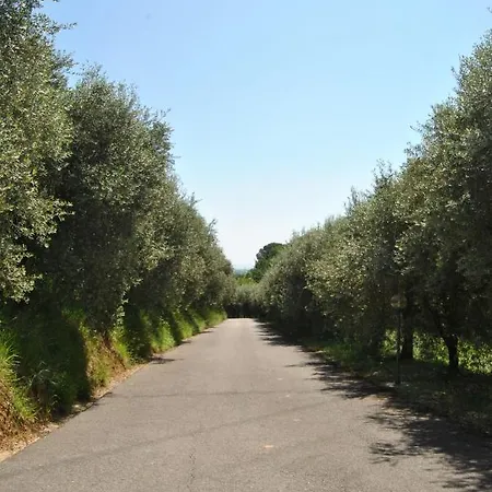 Da Ida Alla Vigna Del Greppo Apartment San Piero in Campo (Tuscany)