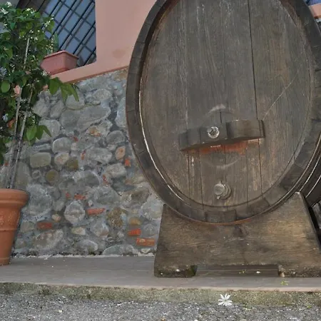 Da Ida Alla Vigna Del Greppo
