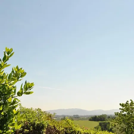 Da Ida Alla Vigna Del Greppo *