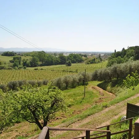 Da Ida Alla Vigna Del Greppo *