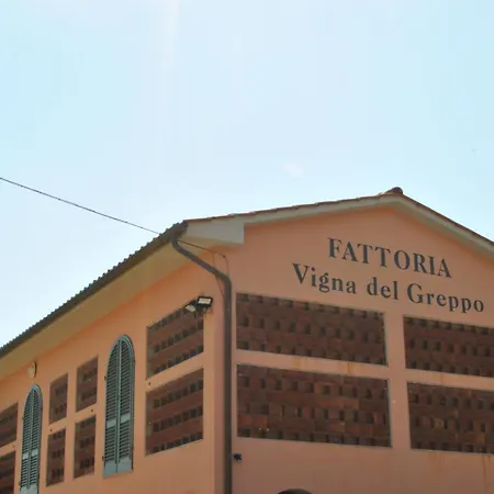 Da Ida Alla Vigna Del Greppo Apartment *