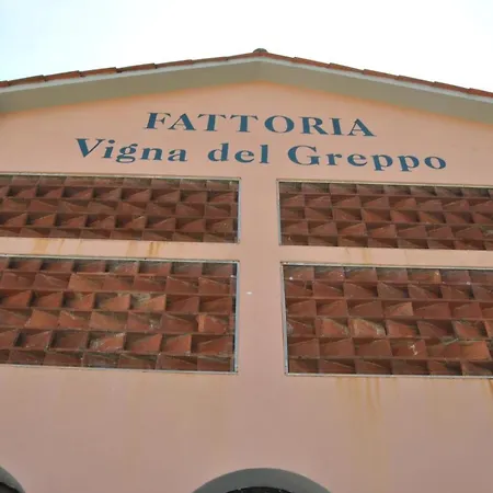 Da Ida Alla Vigna Del Greppo Apartment San Piero in Campo (Tuscany)