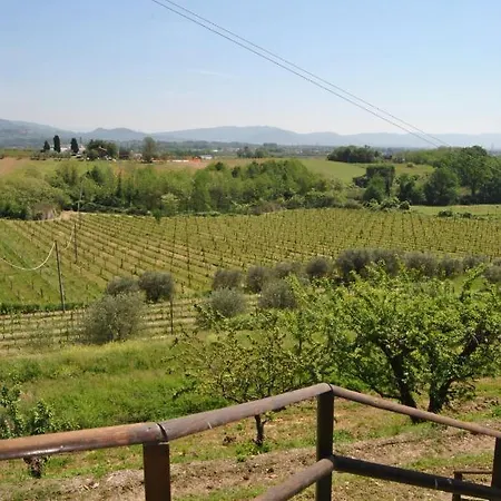 Da Ida Alla Vigna Del Greppo * San Piero in Campo (Tuscany)