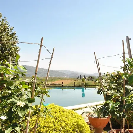 Da Ida Alla Vigna Del Greppo Apartment