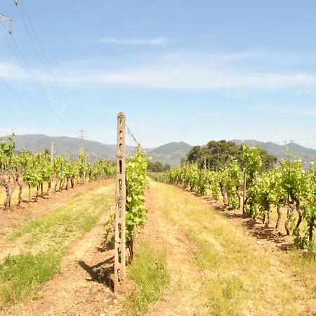 Da Ida Alla Vigna Del Greppo Apartment