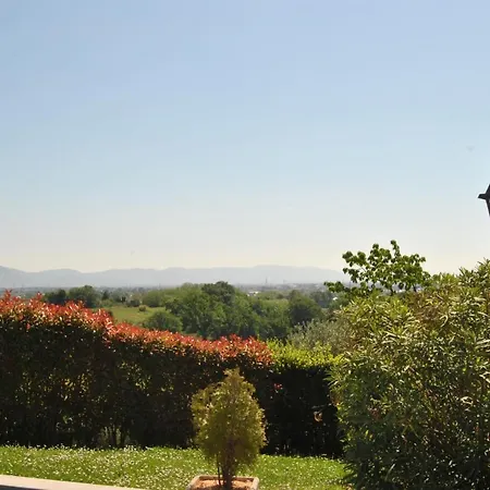 Da Ida Alla Vigna Del Greppo