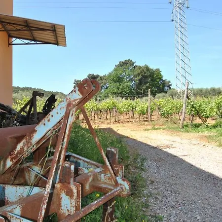 Da Ida Alla Vigna Del Greppo * San Piero in Campo (Tuscany)