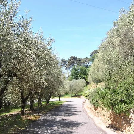 Apartment Da Ida Alla Vigna Del Greppo *
