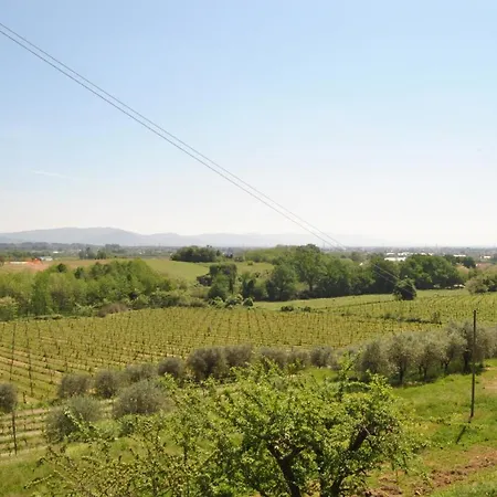 Da Ida Alla Vigna Del Greppo
