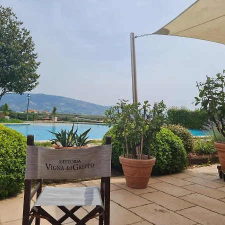 Da Ida Alla Vigna Del Greppo Apartment